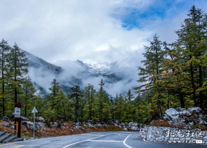 一楼业主霸占公共绿地 竟用铁栏杆圈起来修花园!